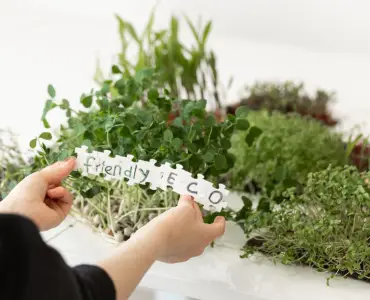 Creating Eco-Friendly Outdoor Spaces with Microbial Science