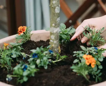 Benefits of Microbial Solutions in Outdoor Spaces