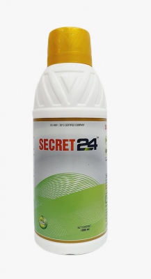 SECRET 24