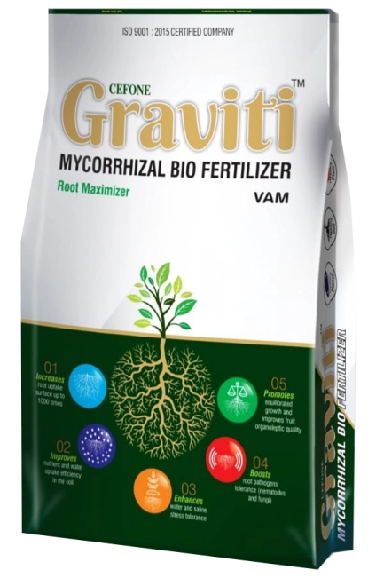 Graviti - VAM