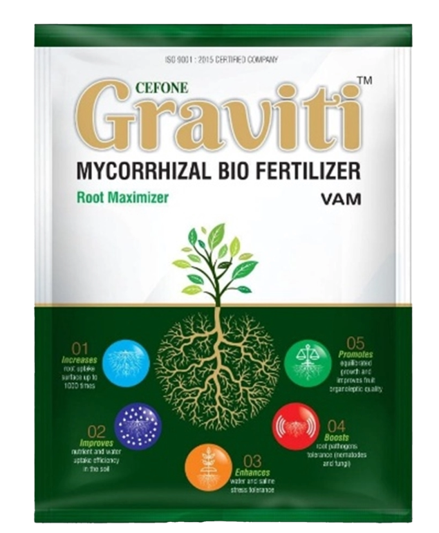 Graviti - VAM
