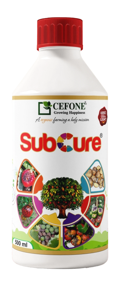 Subcure