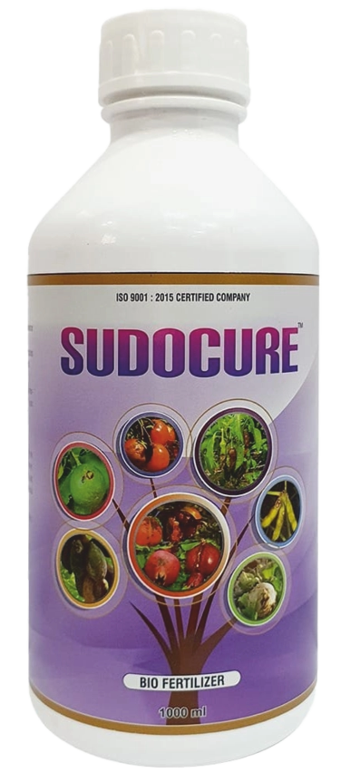 Sudocure
