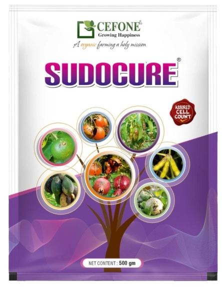 Sudocure