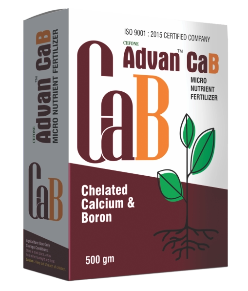 Advan CAB