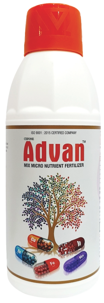 Advan Grade - 1