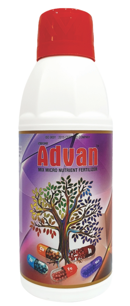Advan Grade  - 3