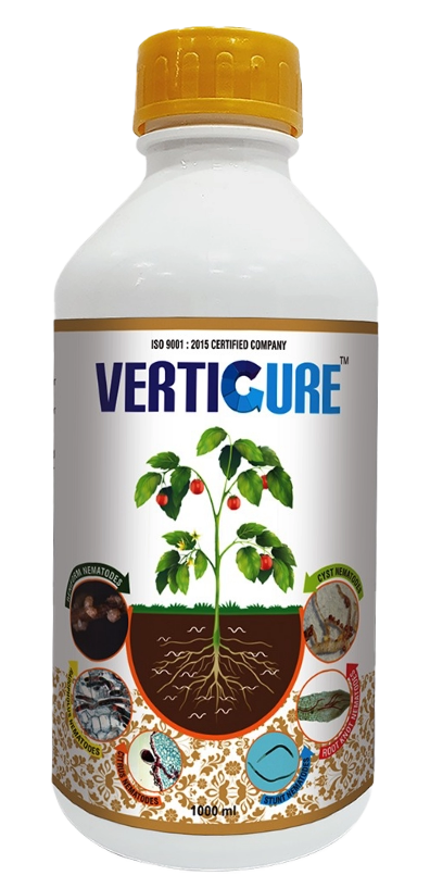 Verticure