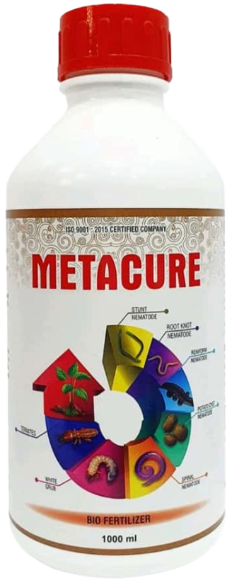 Metacure