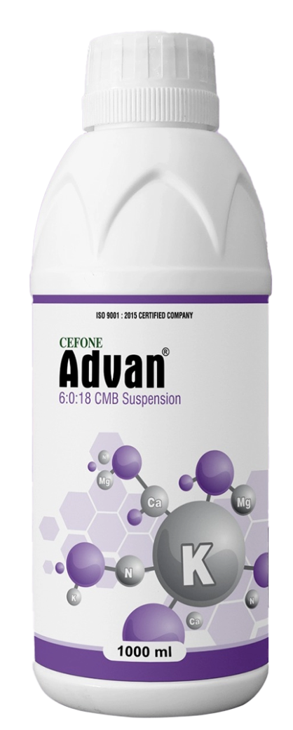 Advan 6:0:18 With CMB