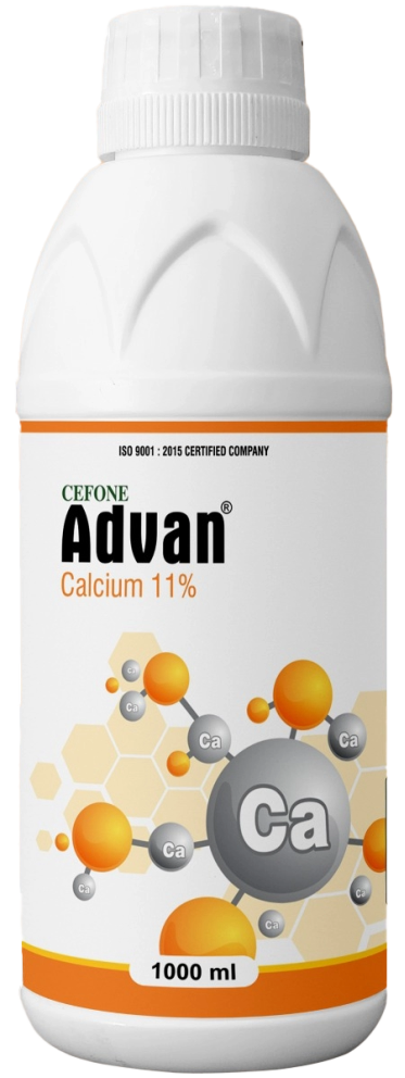 Advan Calcium 11%