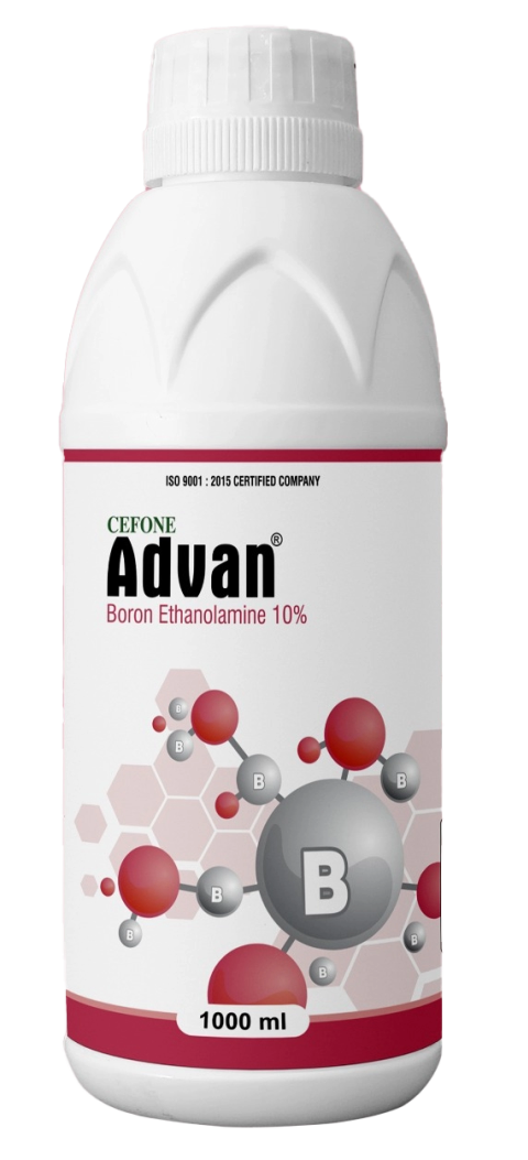 Advan Boron Ethanolamine 10%