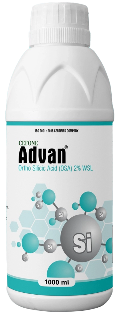Advan Ortho Silicic Acid 2% WSL