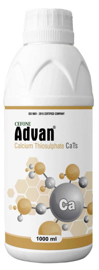 Advan CaTs
