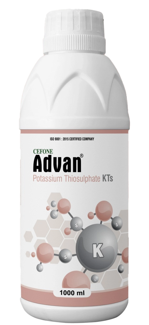 Advan KTS