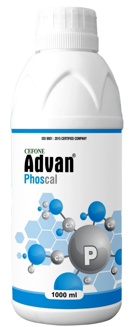Advan Phoscal