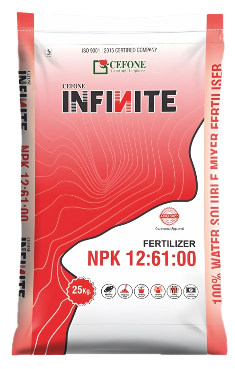 Infinite 12:61:00