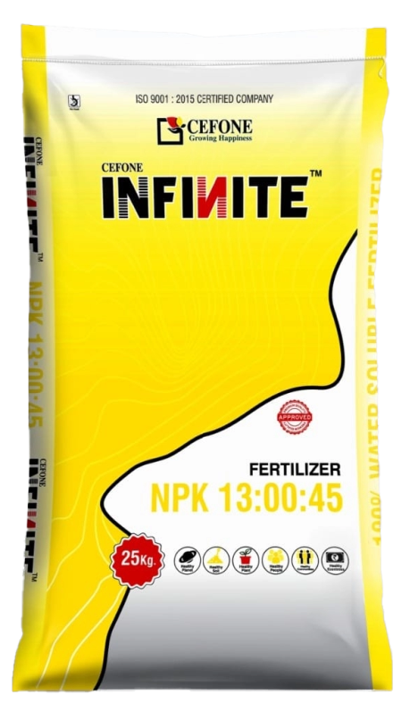 Infinite 13:00:45