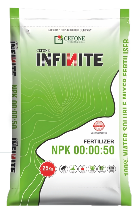 Infinite 00:00:50