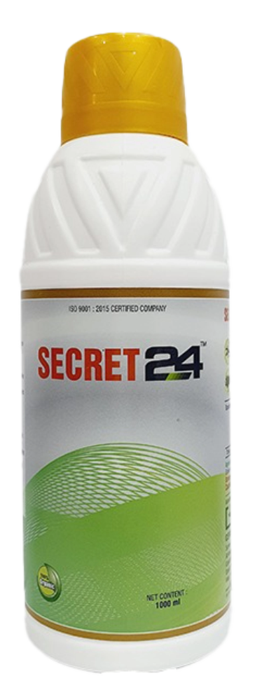 Secret 24