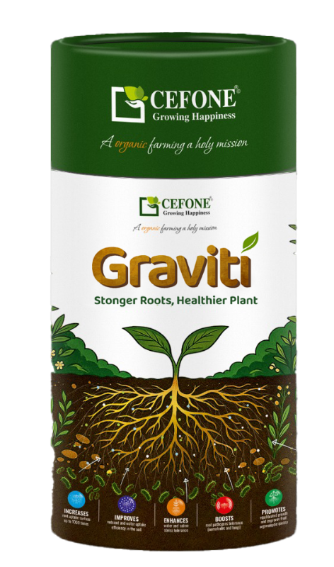 HD Gravity - VAM